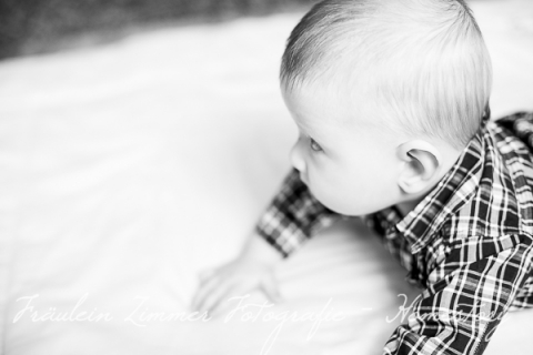 8M4B0846-Bearbeitet-2