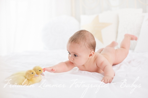 Baby_Babyfotograf Leipzig_Babybilder Leipzig_Babybilder Sachsen_Babyfotograf Sachsen_Homestory Leipzig_Fotograf Leipzig-11