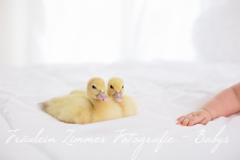 Baby_Babyfotograf Leipzig_Babybilder Leipzig_Babybilder Sachsen_Babyfotograf Sachsen_Homestory Leipzig_Fotograf Leipzig-13