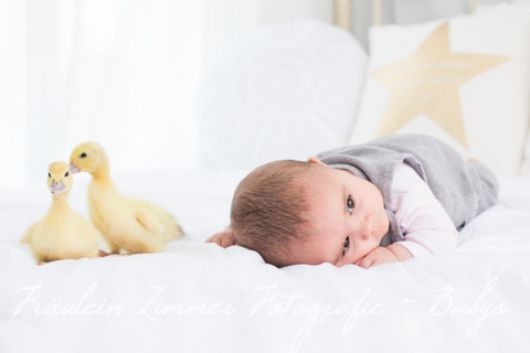 Baby_Babyfotograf Leipzig_Babybilder Leipzig_Babybilder Sachsen_Babyfotograf Sachsen_Homestory Leipzig_Fotograf Leipzig-2