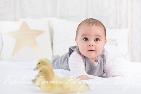 Baby_Babyfotograf Leipzig_Babybilder Leipzig_Babybilder Sachsen_Babyfotograf Sachsen_Homestory Leipzig_Fotograf Leipzig-3