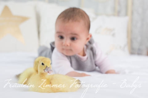 Baby_Babyfotograf Leipzig_Babybilder Leipzig_Babybilder Sachsen_Babyfotograf Sachsen_Homestory Leipzig_Fotograf Leipzig-4