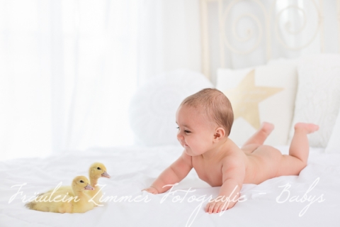 Baby_Babyfotograf Leipzig_Babybilder Leipzig_Babybilder Sachsen_Babyfotograf Sachsen_Homestory Leipzig_Fotograf Leipzig-7