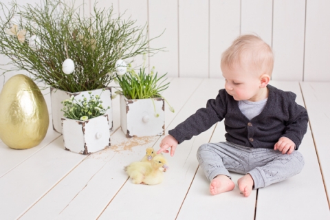 Baby_Babyfotograf Leipzig_Babybilder Leipzig_Babybilder Sachsen_Babyfotograf Sachsen_Homestory Leipzig_Fotograf Leipzig