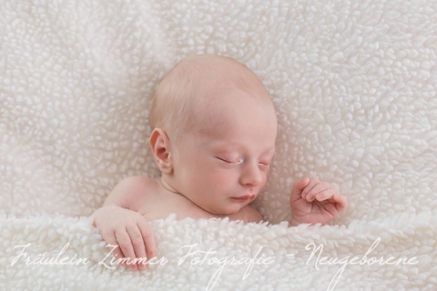 Baby_Babyfotograf Leipzig_Babybilder Leipzig_Babybilder Sachsen_Babyfotograf Sachsen_Homestory Leipzig_Fotograf Leipzig-10
