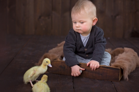 Baby_Babyfotograf Leipzig_Babybilder Leipzig_Babybilder Sachsen_Babyfotograf Sachsen_Homestory Leipzig_Fotograf Leipzig-4