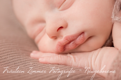 Baby_Babyfotograf Leipzig_Babybilder Leipzig_Babybilder Sachsen_Babyfotograf Sachsen_Homestory Leipzig_Fotograf Leipzig-5
