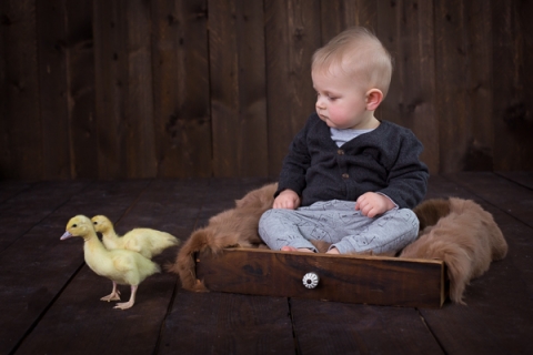 Baby_Babyfotograf Leipzig_Babybilder Leipzig_Babybilder Sachsen_Babyfotograf Sachsen_Homestory Leipzig_Fotograf Leipzig-6