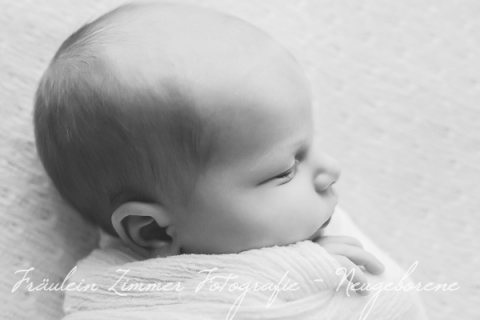 Baby_Babyfotograf Leipzig_Babybilder Leipzig_Babybilder Sachsen_Babyfotograf Sachsen_Homestory Leipzig_Fotograf Leipzig-2