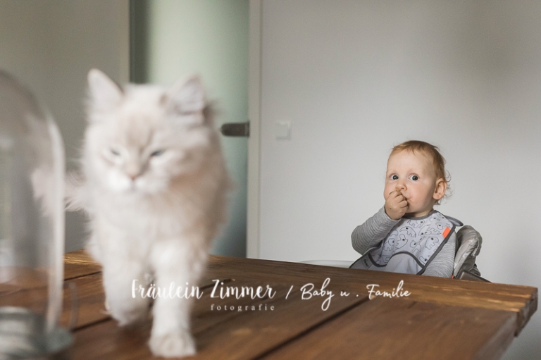 liebevolle Familienfotos bei Euch zu Hause in Leipzig