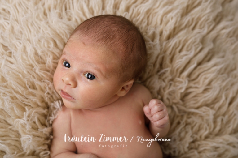 Neugeborenenfotoshooting in Leipzig