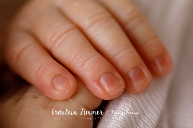Neugeborenenfotoshooting in Leipzig