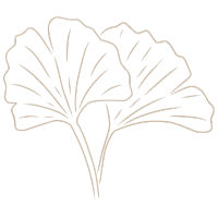 babyfotograf leipzig