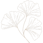 babyfotograf leipzig