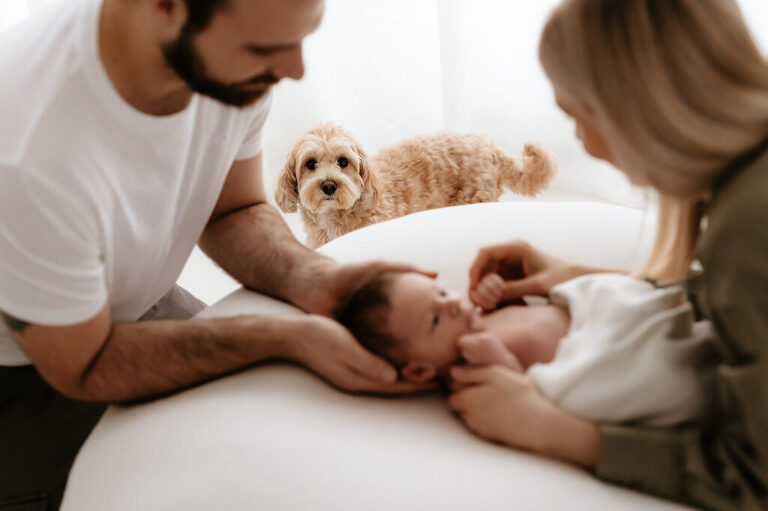 Neugeborenes Babyfotos Borna