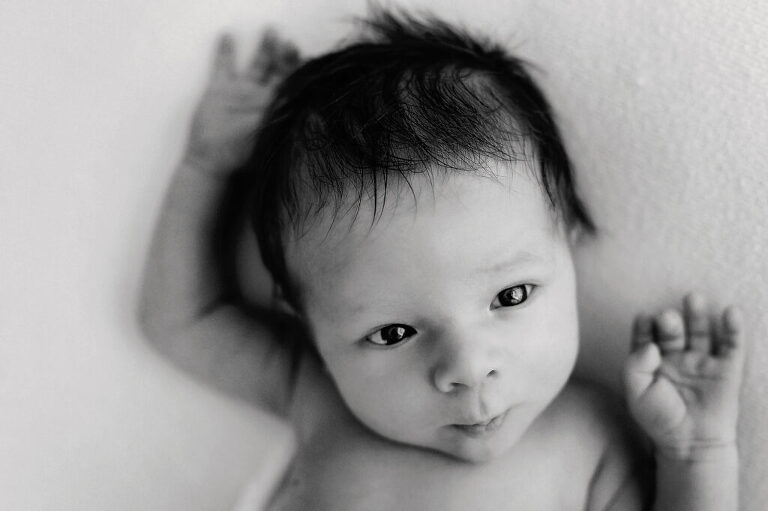 newborn fotos leipzig