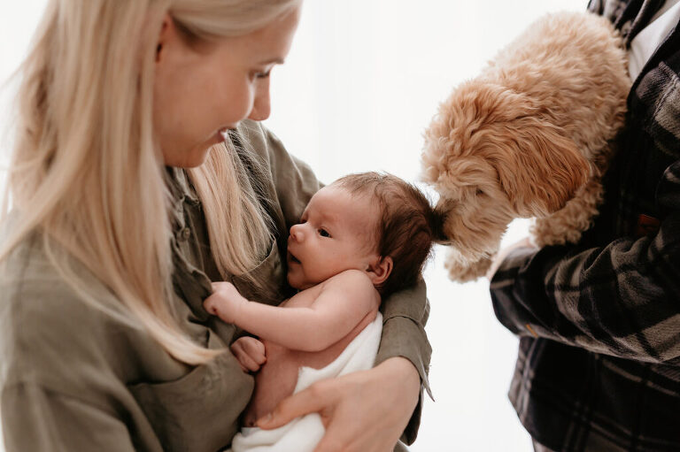 Baby Familienfotos Leipzig